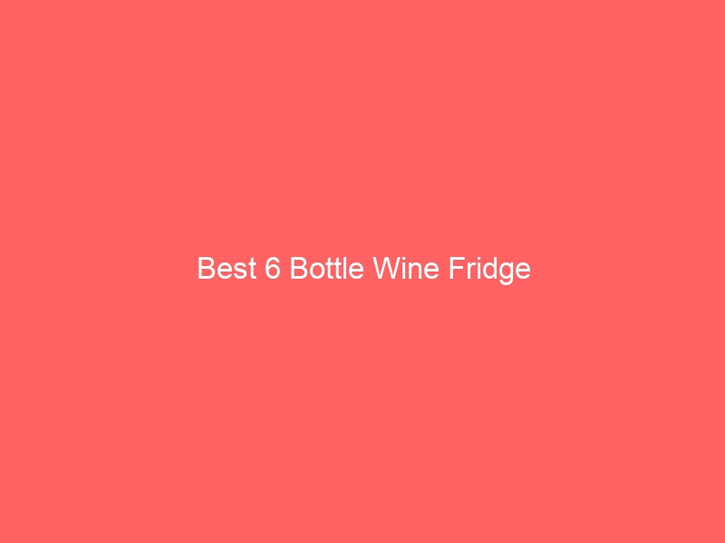 Read more about the article Best 6 Bottle Wine Fridge