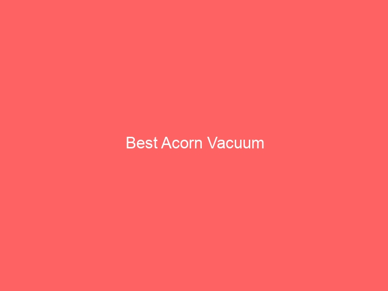Read more about the article Best Acorn Vacuum