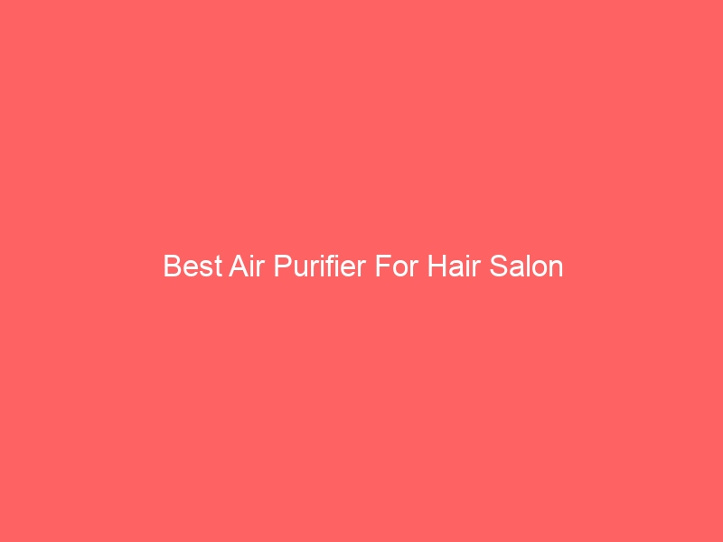 Read more about the article Best Air Purifier For Hair Salon