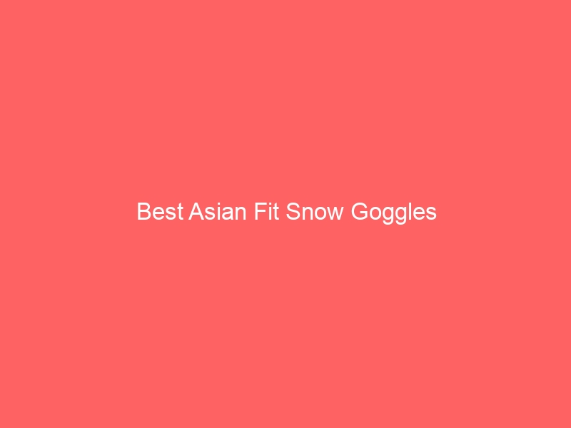 Read more about the article Best Asian Fit Snow Goggles