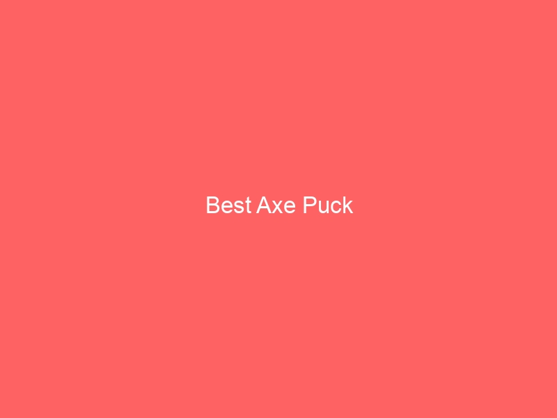 Read more about the article Best Axe Puck