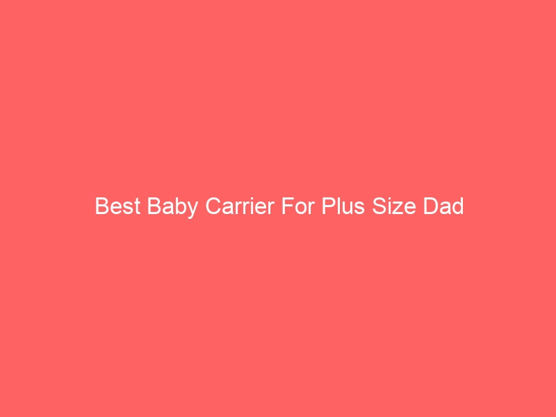 Read more about the article Best Baby Carrier For Plus Size Dad