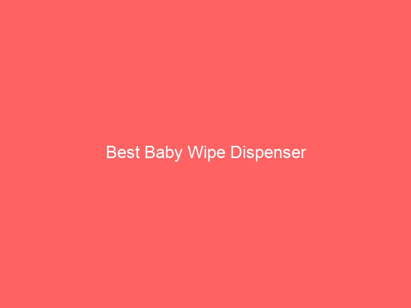 Read more about the article Best Baby Wipe Dispenser