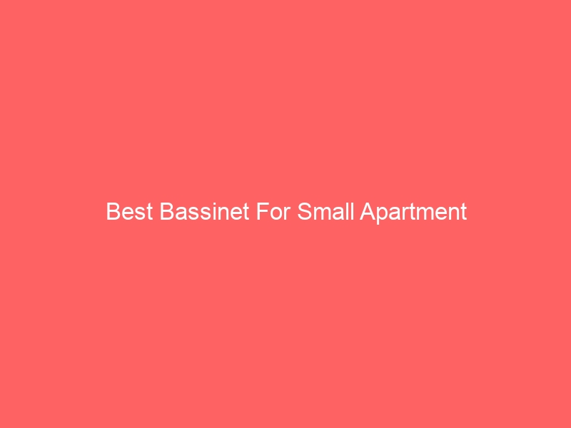 Read more about the article Best Bassinet For Small Apartment
