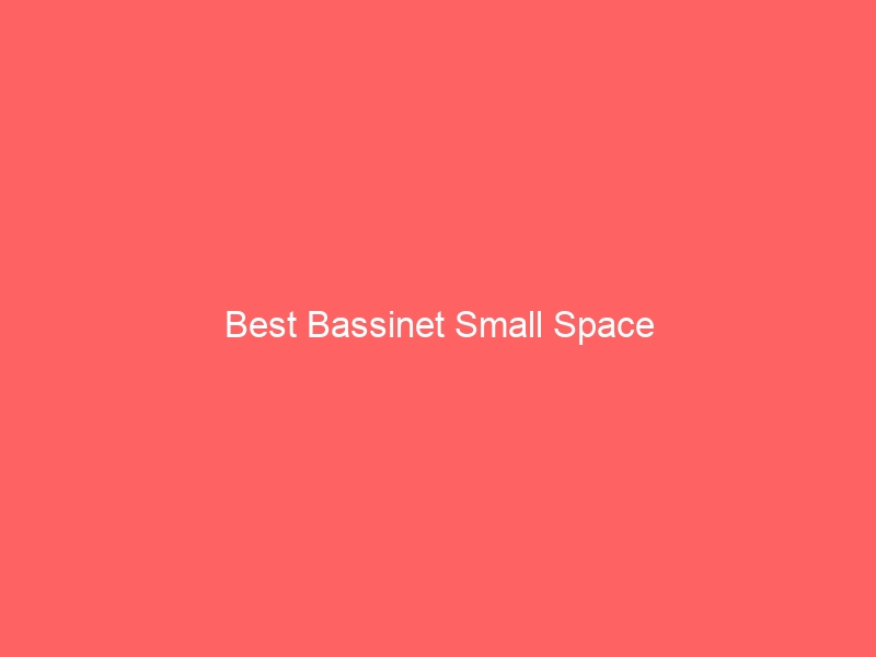 Read more about the article Best Bassinet Small Space