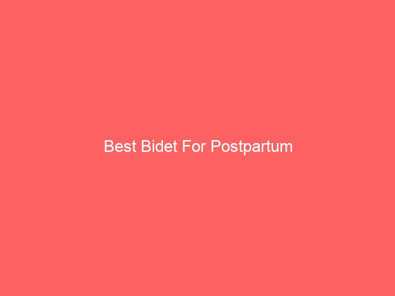 Read more about the article Best Bidet For Postpartum