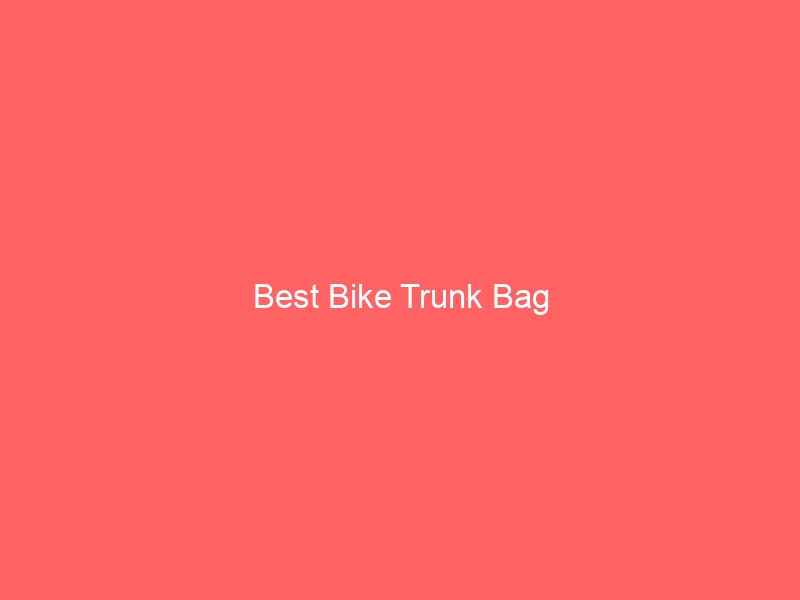 Read more about the article Best Bike Trunk Bag