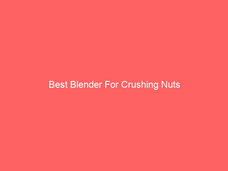 Read more about the article Best Blender For Crushing Nuts