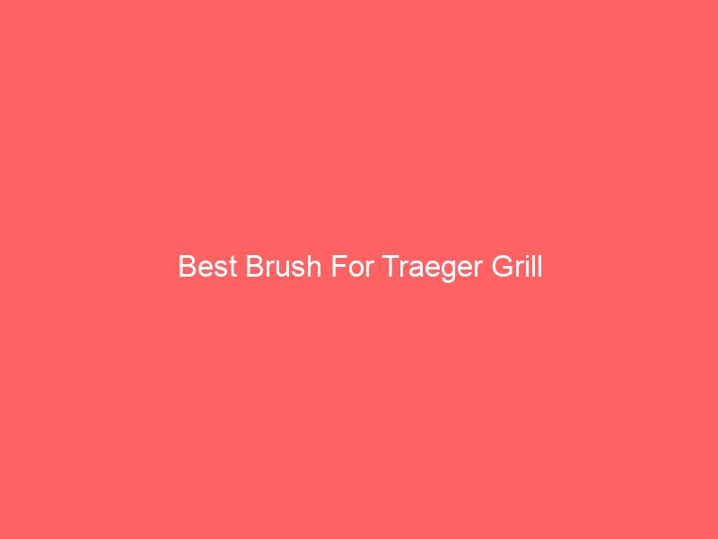 Read more about the article Best Brush For Traeger Grill