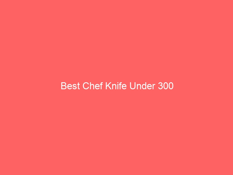 Read more about the article Best Chef Knife Under 300