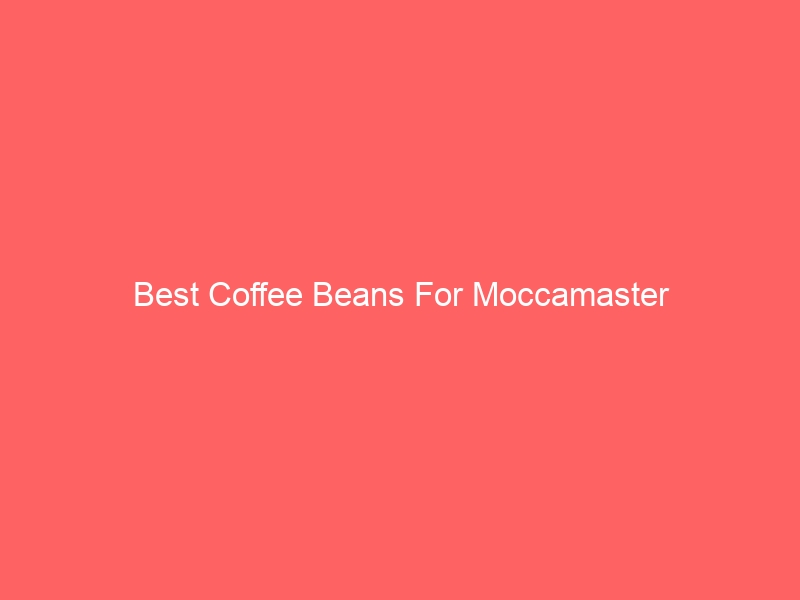 Read more about the article Best Coffee Beans For Moccamaster