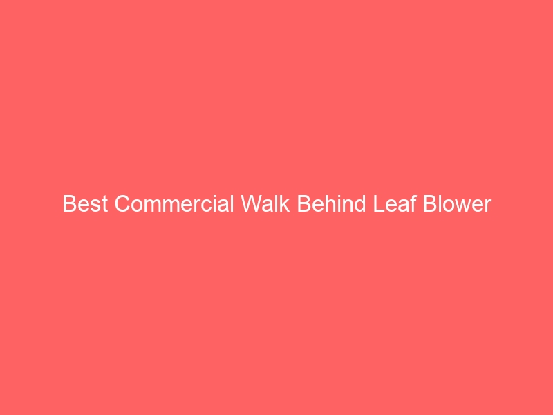 Read more about the article Best Commercial Walk Behind Leaf Blower