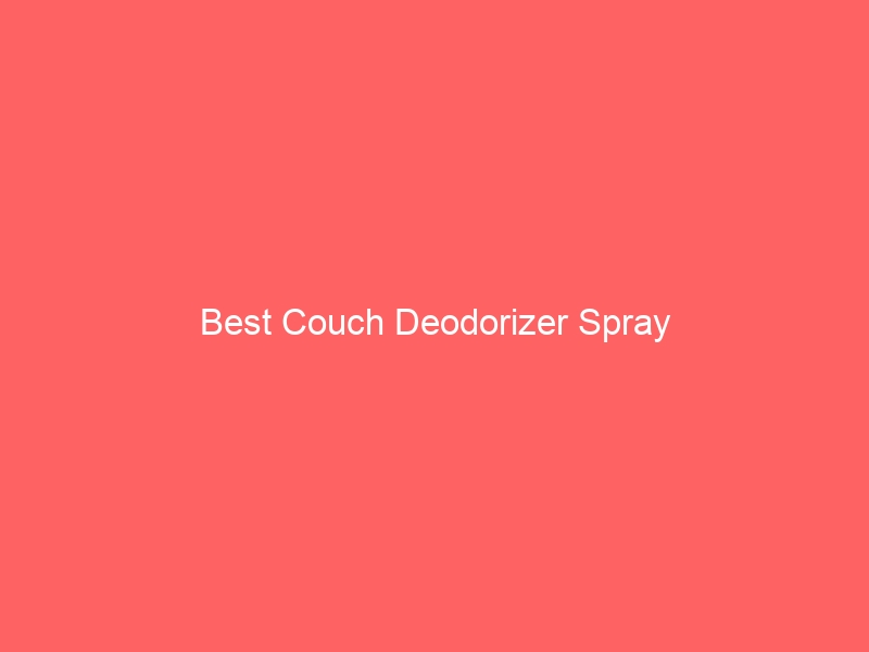 Read more about the article Best Couch Deodorizer Spray