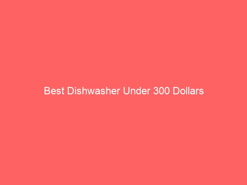Read more about the article Best Dishwasher Under 300 Dollars