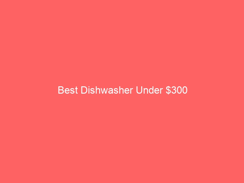 Read more about the article Best Dishwasher Under $300
