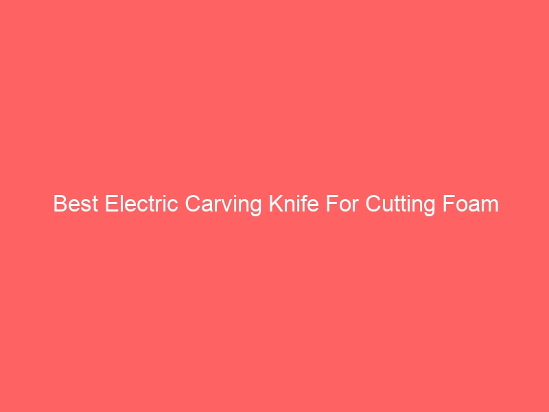 Read more about the article Best Electric Carving Knife For Cutting Foam