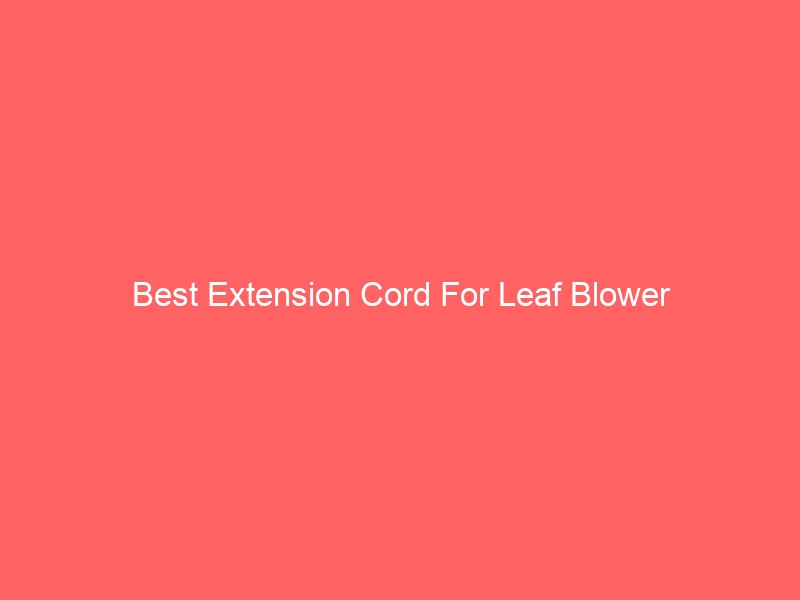 Read more about the article Best Extension Cord For Leaf Blower