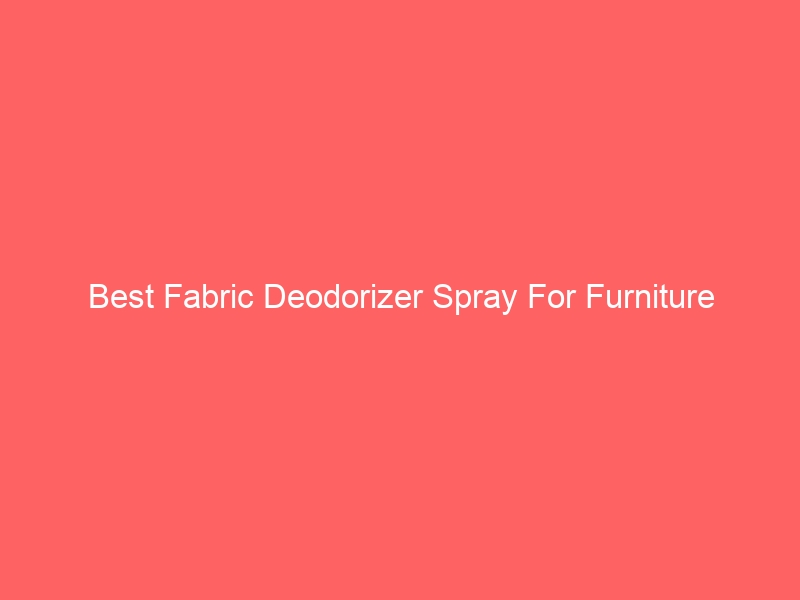 Read more about the article Best Fabric Deodorizer Spray For Furniture