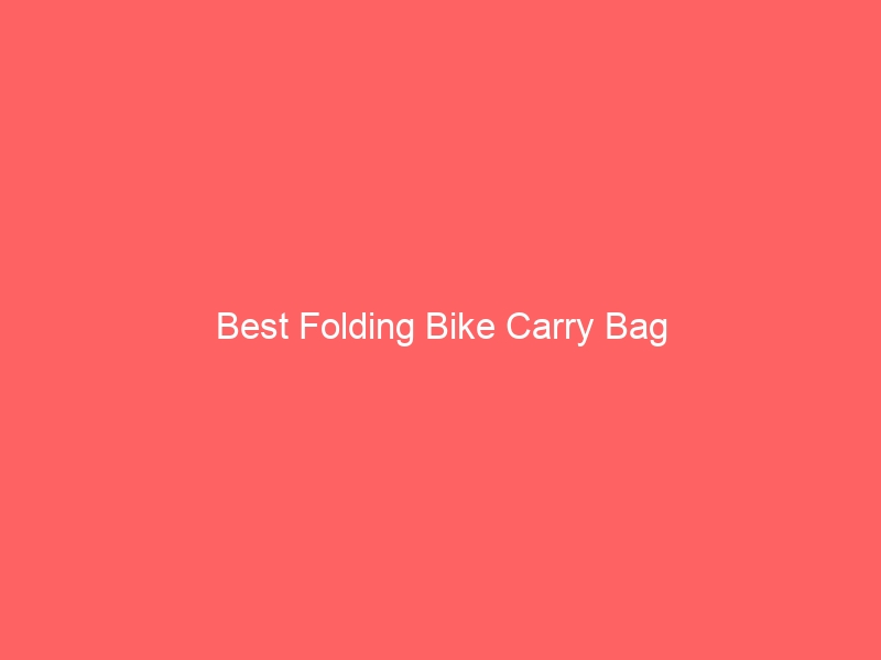 Read more about the article Best Folding Bike Carry Bag