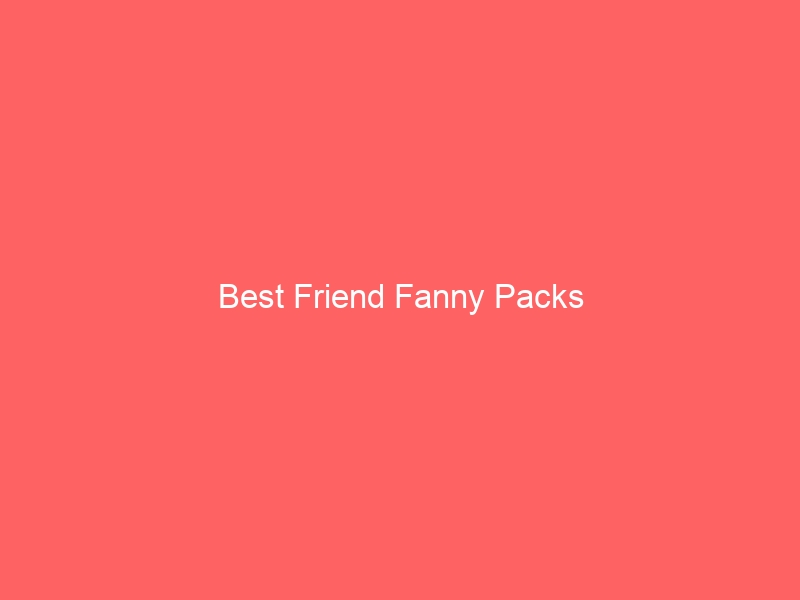 Read more about the article Best Friend Fanny Packs