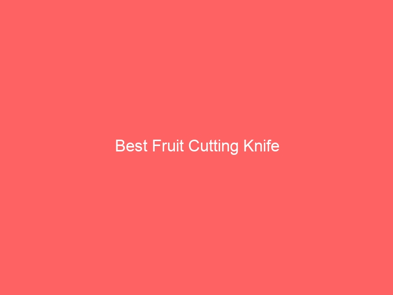 Read more about the article Best Fruit Cutting Knife