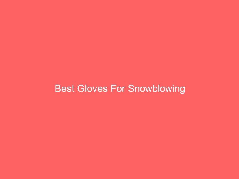 Read more about the article Best Gloves For Snowblowing