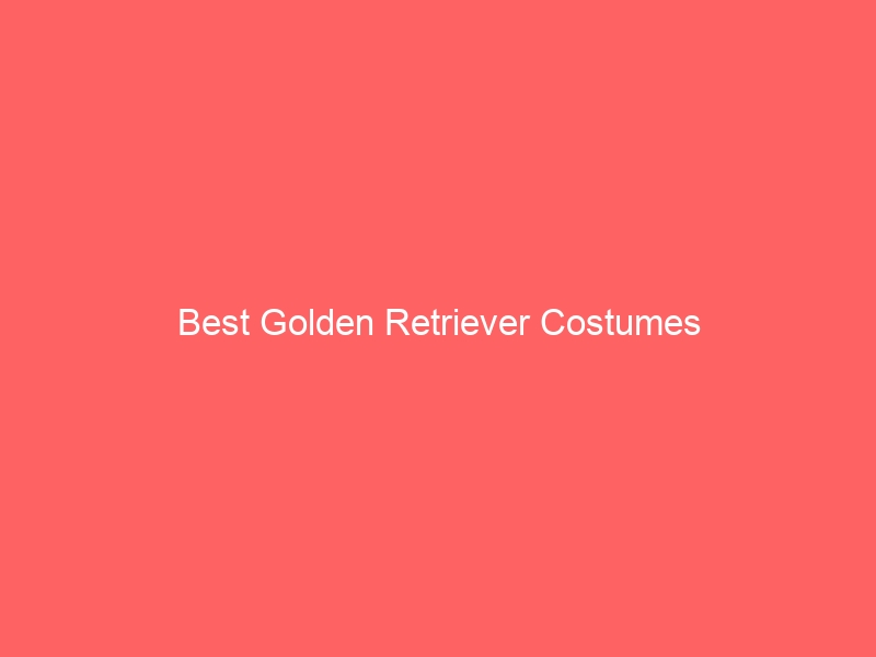 Read more about the article Best Golden Retriever Costumes