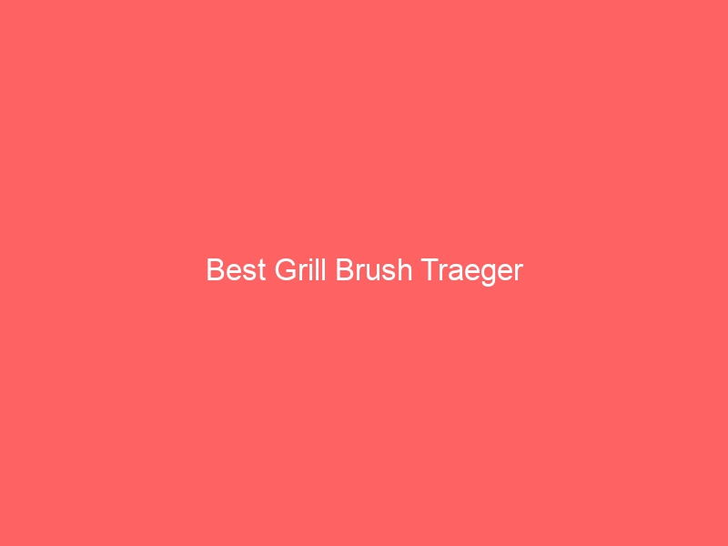 Read more about the article Best Grill Brush Traeger