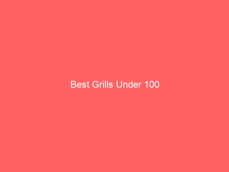 Read more about the article Best Grills Under 100