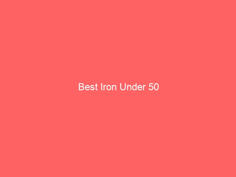 Read more about the article Best Iron Under 50