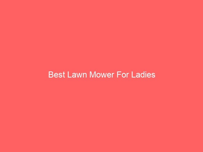 Read more about the article Best Lawn Mower For Ladies