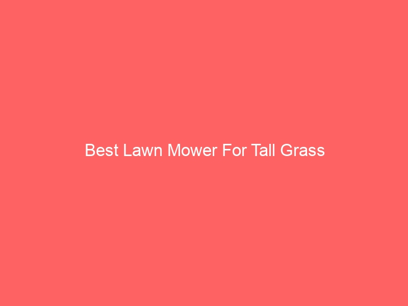 Read more about the article Best Lawn Mower For Tall Grass