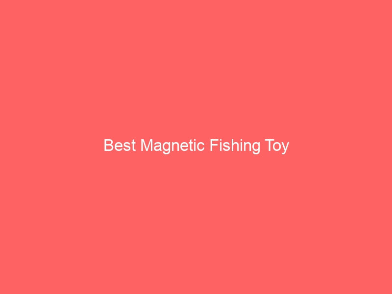 Read more about the article Best Magnetic Fishing Toy