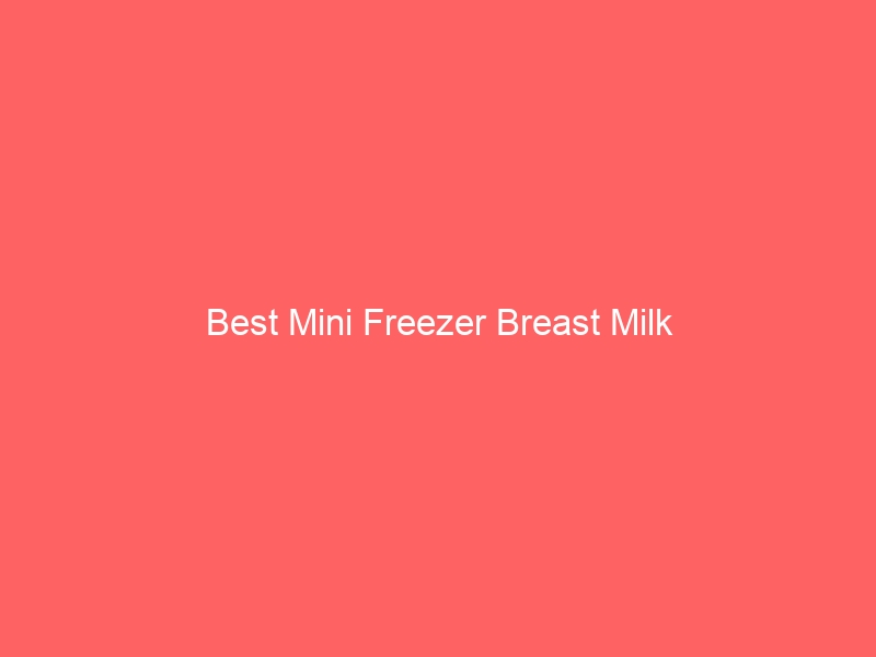 Read more about the article Best Mini Freezer Breast Milk