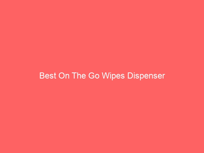 Read more about the article Best On The Go Wipes Dispenser