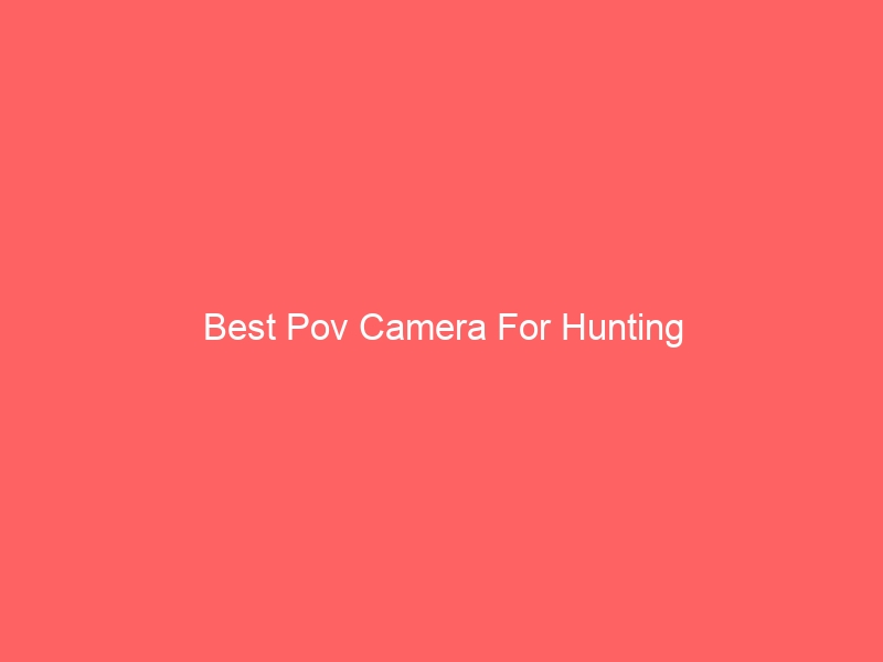 Read more about the article Best Pov Camera For Hunting