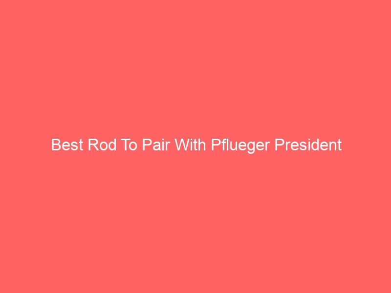 Read more about the article Best Rod To Pair With Pflueger President