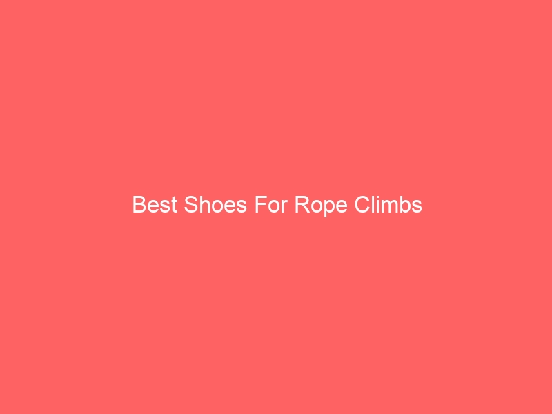 Read more about the article Best Shoes For Rope Climbs