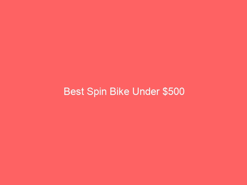 Read more about the article Best Spin Bike Under $500