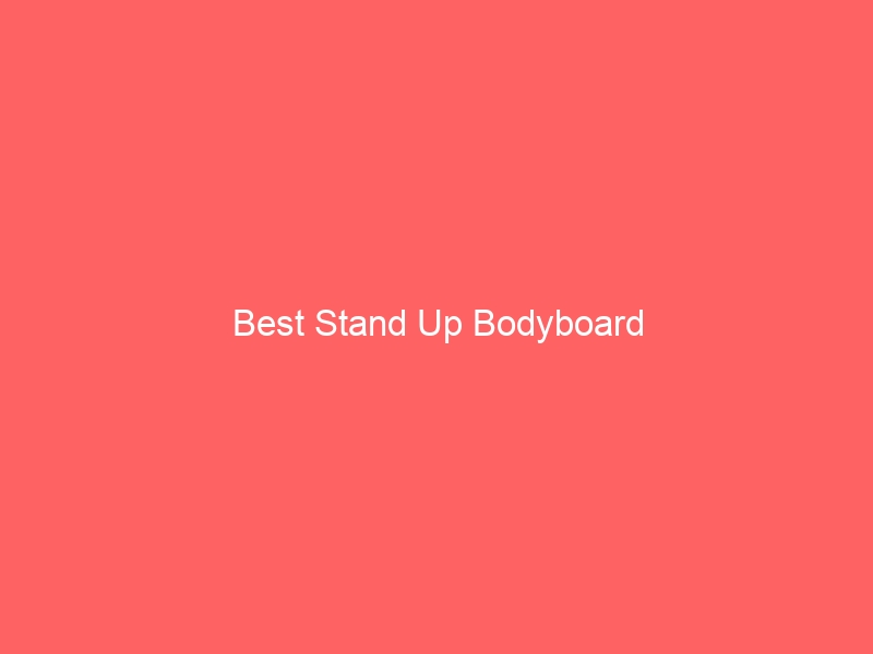 Read more about the article Best Stand Up Bodyboard
