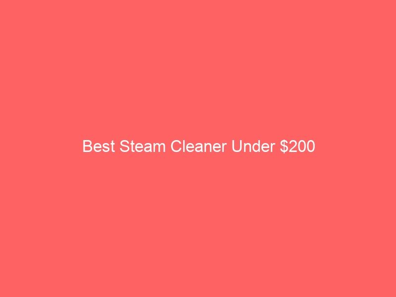 Read more about the article Best Steam Cleaner Under $200