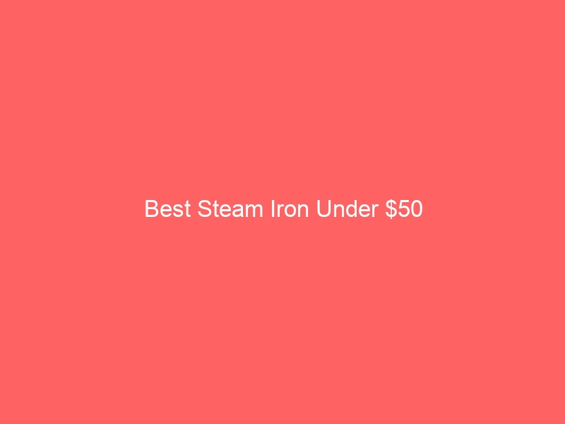 Read more about the article Best Steam Iron Under $50