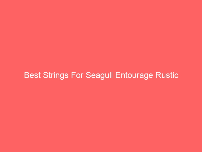 Read more about the article Best Strings For Seagull Entourage Rustic