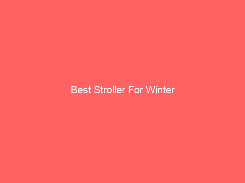 Read more about the article Best Stroller For Winter