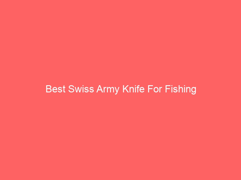 Read more about the article Best Swiss Army Knife For Fishing