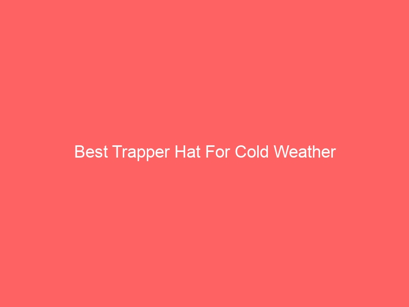Read more about the article Best Trapper Hat For Cold Weather