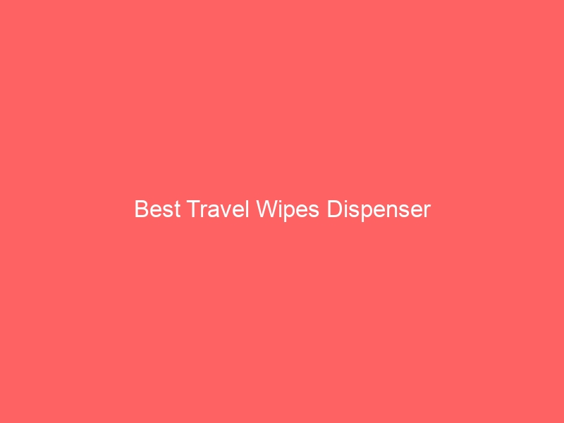 Read more about the article Best Travel Wipes Dispenser