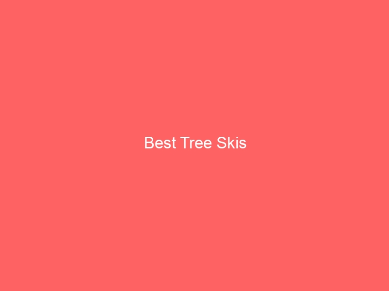 Read more about the article Best Tree Skis