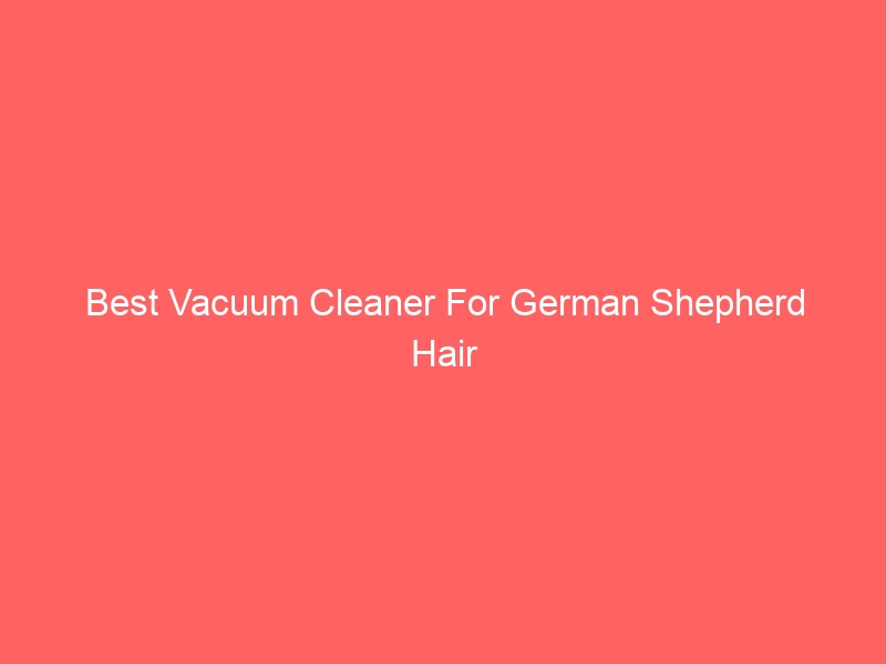 Read more about the article Best Vacuum Cleaner For German Shepherd Hair