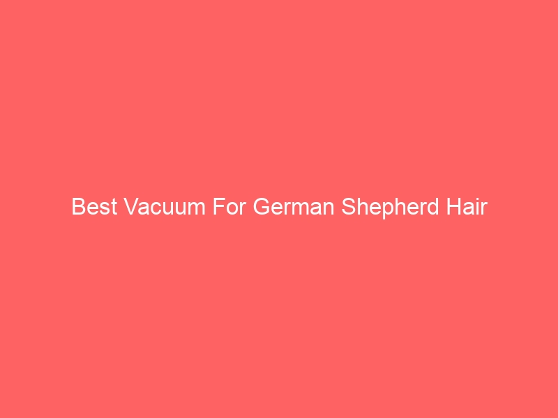 Read more about the article Best Vacuum For German Shepherd Hair